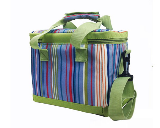 Cooler bag