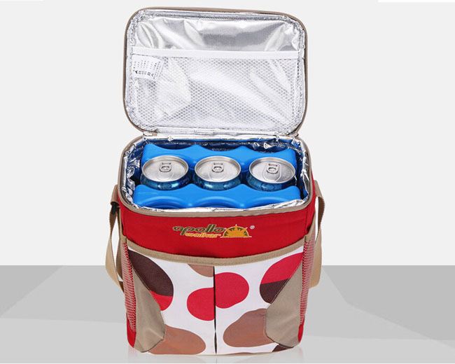 Cooler bag