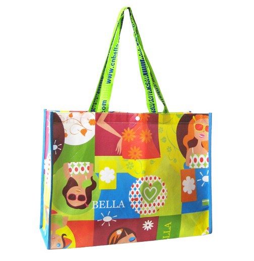 Non woven Shopping Bag