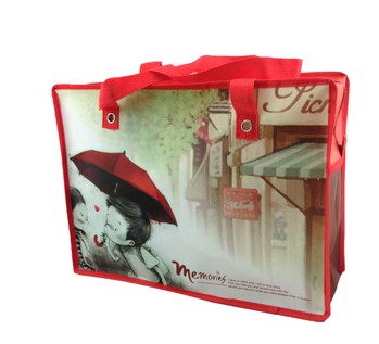 Non woven Shopping Bag