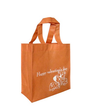 Non woven Shopping Bag