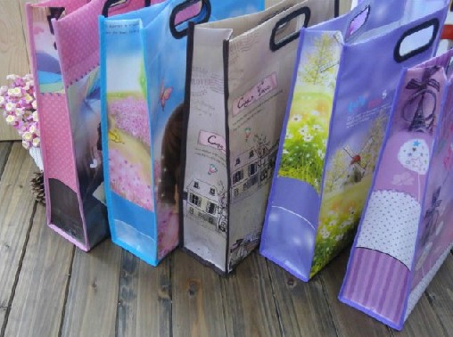 Non woven Shopping Bag