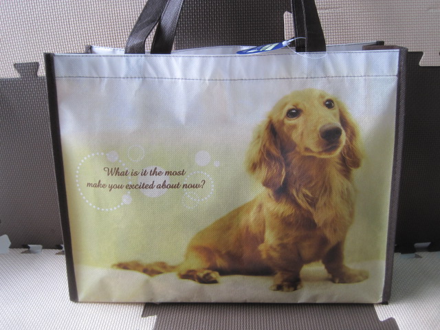 Non woven Shopping Bag