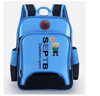 Polyester & Nylon School Bag