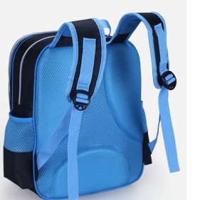 Polyester & Nylon School Bag