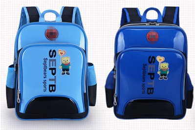 Polyester & Nylon School Bag