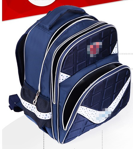 Polyester & Nylon School Bag