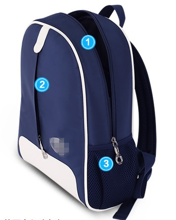 Polyester & Nylon School Bag