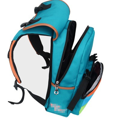 Polyester & Nylon School Bag