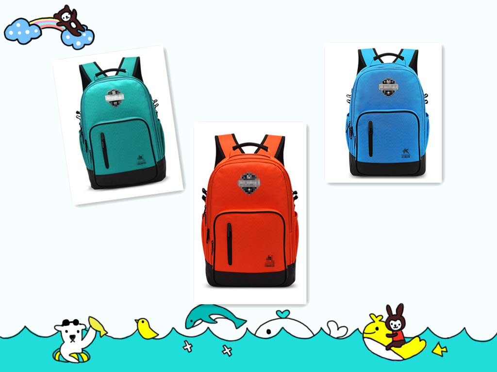 Polyester & Nylon School Bag