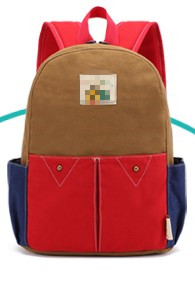 Polyester & Nylon School Bag