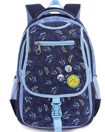 Polyester & Nylon School Bag