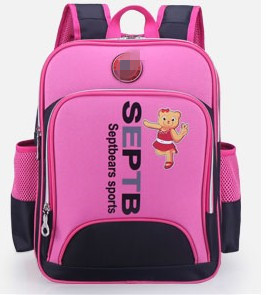 Polyester & Nylon School Bag