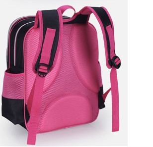 Polyester & Nylon School Bag