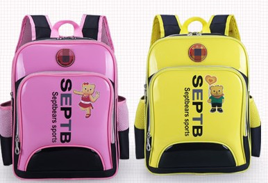 Polyester & Nylon School Bag