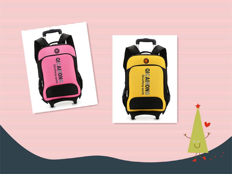 Polyester & Nylon School Bag