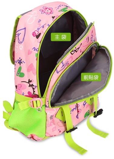 Polyester & Nylon School Bag