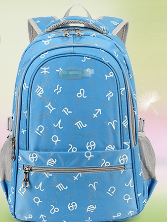 Polyester & Nylon School Bag