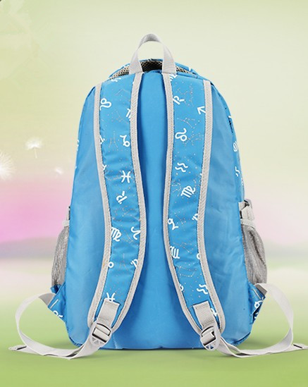 Polyester & Nylon School Bag