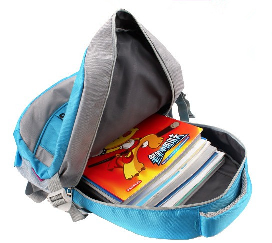 Polyester & Nylon School Bag